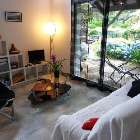 Tatil Evi Saint-geours-de-maremne, 3 Pieces, 4 Personnes - Fr-1-360-324 *