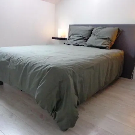 Saint-geours-de-maremne, 3 Pieces, 4 Personnes - Fr-1-360-324 Tatil Evi
