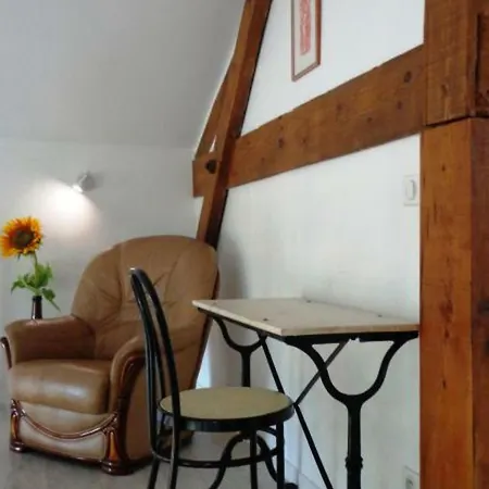 Tatil Evi Saint-geours-de-maremne, 3 Pieces, 4 Personnes - Fr-1-360-324 *