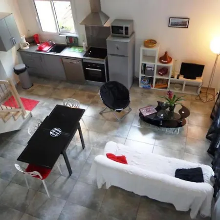 Tatil Evi Saint-geours-de-maremne, 3 Pieces, 4 Personnes - Fr-1-360-324 *